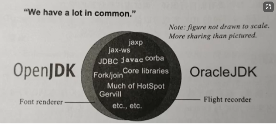 image-20230105190437418